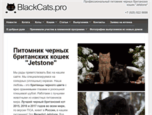 Tablet Screenshot of blackcats.pro